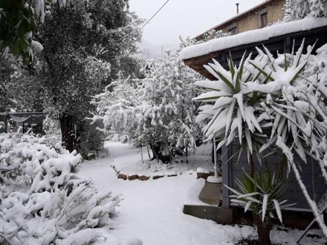 Bastide De La Lauve Bed & Breakfast Magagnosc Exterior foto